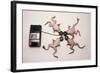 Frogs Undergoing Hypnosis-Roger Ressmeyer-Framed Photographic Print