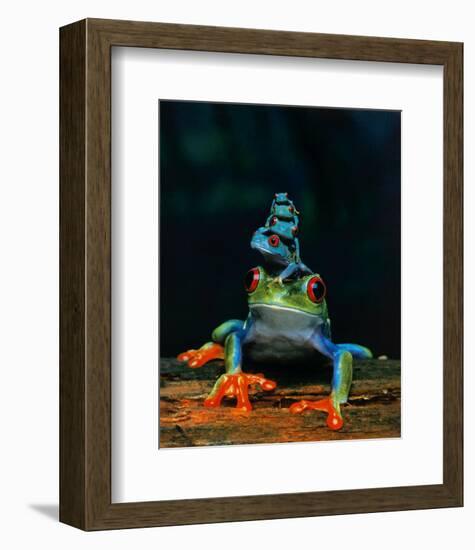 Frogs-null-Framed Art Print