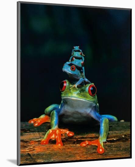 Frogs-null-Mounted Art Print