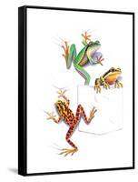 Frogs-null-Framed Stretched Canvas