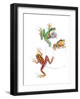 Frogs-null-Framed Premium Giclee Print