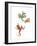 Frogs-null-Framed Premium Giclee Print