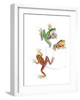 Frogs-null-Framed Premium Giclee Print