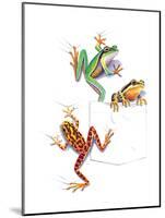 Frogs-null-Mounted Premium Giclee Print