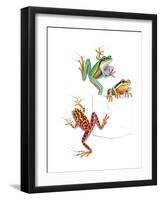 Frogs-null-Framed Giclee Print