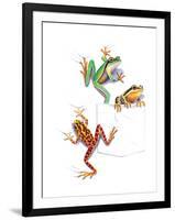 Frogs-null-Framed Giclee Print