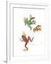 Frogs-null-Framed Giclee Print