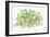 Frogs-Bill Bell-Framed Premium Giclee Print