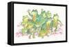 Frogs-Bill Bell-Framed Stretched Canvas