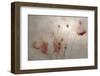 frolicking hats-Gilbert Claes-Framed Photographic Print