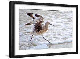 Frolicking in Waves-Bruce Nawrocke-Framed Art Print