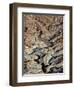 From Above 2-Design Fabrikken-Framed Photographic Print