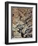 From Above 2-Design Fabrikken-Framed Photographic Print