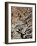 From Above 2-Design Fabrikken-Framed Photographic Print