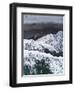 From Above 5-Design Fabrikken-Framed Premium Photographic Print