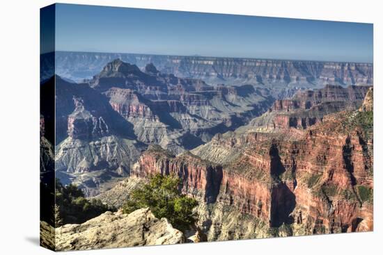 From Bright Angel Point, North Rim, Grand Canyon National Park, UNESCO World Heritage Site, Arizona-Richard Maschmeyer-Stretched Canvas