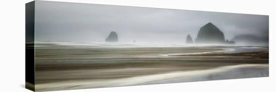 From Cannon Beach I-David Drost-Stretched Canvas