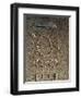 From Caves of Balzi Rossi, Barma Grande Cave, Triple Burial of Cro-Magnon Type Skeleton-null-Framed Giclee Print