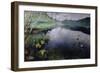 From Daelivannet-Hjalmer Eilif Emanuel Peterssen-Framed Giclee Print