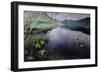 From Daelivannet-Hjalmer Eilif Emanuel Peterssen-Framed Giclee Print