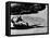 From Here to Eternity, 1953-null-Framed Stretched Canvas