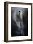 From last Year-Lotte Gronkjar-Framed Photographic Print