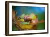 From little Acorns-Jacky Parker-Framed Giclee Print