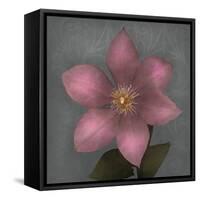 From My Garden 1-Gray-Julie Greenwood-Framed Stretched Canvas