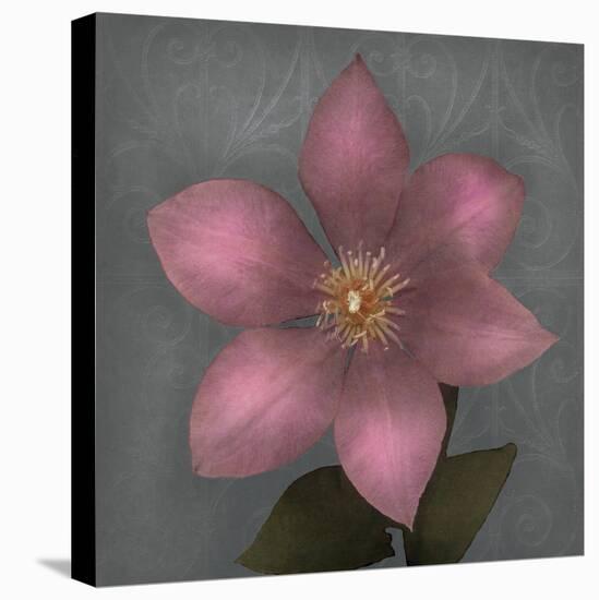 From My Garden 1-Gray-Julie Greenwood-Stretched Canvas
