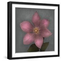 From My Garden 1-Gray-Julie Greenwood-Framed Premium Giclee Print