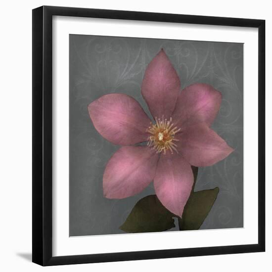 From My Garden 1-Gray-Julie Greenwood-Framed Premium Giclee Print