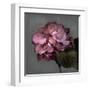 From My Garden 2-Gray-Julie Greenwood-Framed Art Print