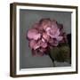 From My Garden 2-Gray-Julie Greenwood-Framed Art Print