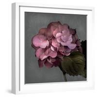 From My Garden 2-Gray-Julie Greenwood-Framed Art Print