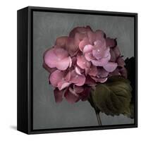 From My Garden 2-Gray-Julie Greenwood-Framed Stretched Canvas