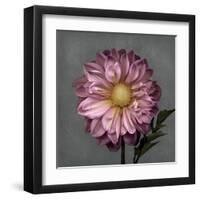 From My Garden 3-Gray-Julie Greenwood-Framed Art Print