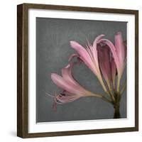 From My Garden 4-Gray-Julie Greenwood-Framed Art Print