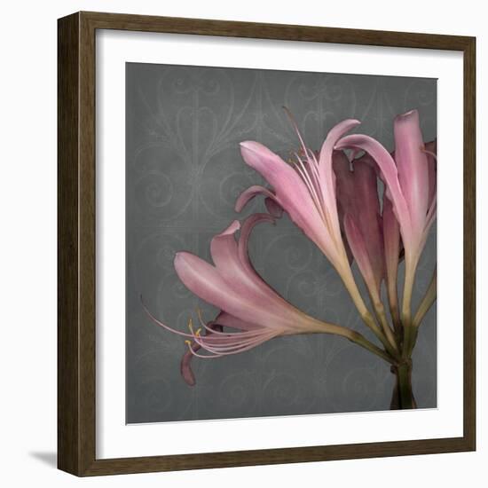 From My Garden 4-Gray-Julie Greenwood-Framed Art Print