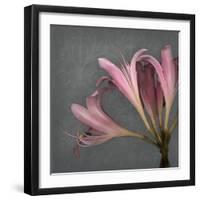 From My Garden 4-Gray-Julie Greenwood-Framed Art Print