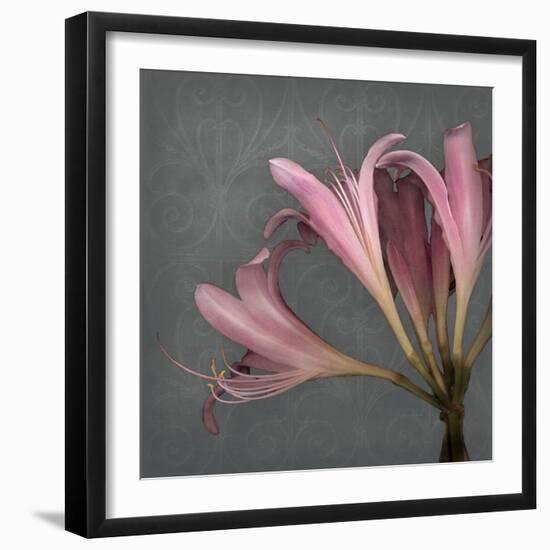 From My Garden 4-Gray-Julie Greenwood-Framed Art Print