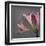 From My Garden 4-Gray-Julie Greenwood-Framed Art Print