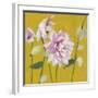 From My Garden - Aquilegia-Charlotte Hardy-Framed Giclee Print