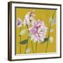 From My Garden - Aquilegia-Charlotte Hardy-Framed Giclee Print