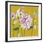 From My Garden - Aquilegia-Charlotte Hardy-Framed Giclee Print