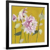 From My Garden - Aquilegia-Charlotte Hardy-Framed Giclee Print