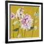 From My Garden - Aquilegia-Charlotte Hardy-Framed Giclee Print