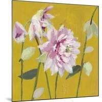 From My Garden - Aquilegia-Charlotte Hardy-Mounted Giclee Print