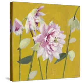 From My Garden - Aquilegia-Charlotte Hardy-Stretched Canvas