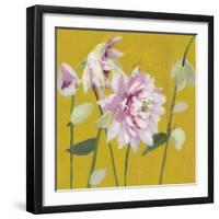 From My Garden - Aquilegia-Charlotte Hardy-Framed Giclee Print