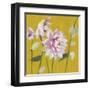 From My Garden - Aquilegia-Charlotte Hardy-Framed Giclee Print